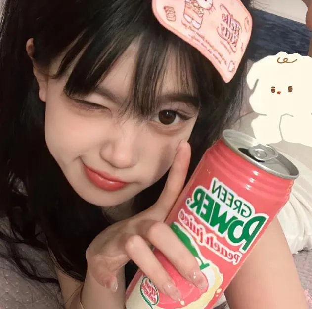 我的小狮王