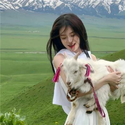 吹梦无踪